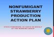 Strwbrry Prod Act Plan