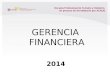 Gerencia Financiera 2014 i A