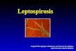 Leptospirosis UPH 2