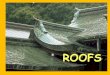 Cap4 Roofs