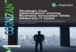 Strategic Cost Optimization: Driving Business Innovation While Reducing IT Costs