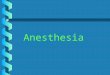 Anesthesia Analgesia f1