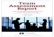 Sample Team Assessment Report