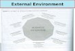 External Environment2