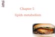Chapter 5 Lipids Metabolism