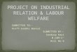 Copy of Introduction of Industrial Relation