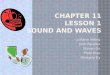 SCIENCE Waves and Sound