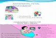 Antepartum Fetal Assessment Spring 2011