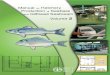 Manual on Hactery Production of Seabass and Gilthead Seabream Vol2