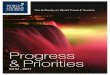 Progress and Priorities, 2010-2011