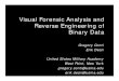 BH US 08 Conti Dean Visual Forensic Analysis
