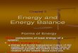 Chapter 4 Energy and Energy Balance