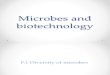Biology - Microbes
