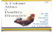 A Color Atlas of Poultry Diseases