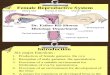 RSK.2-Histology of Female Reproductive System