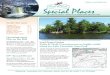 Special Places Newsletter Feb 2014