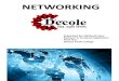 Presentation on networking