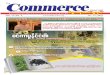Commerce Journal - Vol 14 No 1