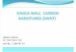 Single Wall Nanotube (SWNTs)