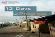 12 Days of Progress.pdf