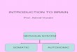 01-Intoduction to Brain