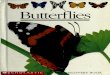 Butterflies 00 Gall Rich
