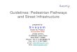 Guidelines Pedestrian Pathways and Street Infrastructure