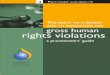 Right to Remedy and Reparations for Gross Human Rights Violations, Practitioners Guide 2006