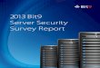 2013 Server Security Survey Report Fnl 40111