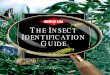 Insects Identification Guide