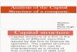 Analysis of the Capital Structure of a Company