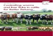 Controlling worms and liver fluke in cattle for better returns