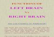 Left Brain Right BrainGd