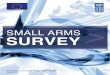 Small Arms Survey 2010-2011 in Bosnia and Herzegovina