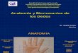 Anatomia y Biomecanica de Lo Dedos