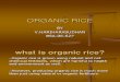 74001779 Organic Rice