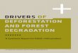 Drivers Deforestation Report
