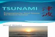 Physics of tsunamis presentation