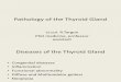 Pathology of the Thyroid Gland Targon