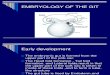 Embryology of the Gut