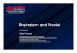 Brainstem and Nuclei Slides(1)