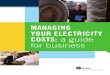 IESO-Managing Electricity Costs