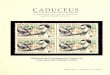 CADUCEUS - Volume 12 - Number 1 - Spring 1996