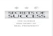 Secrets of Success Excerpt