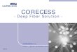 Corecess Deep Fiber Solution_07_v2.0