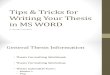 MSWord Thesis 091