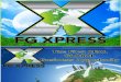FGXpress Product and Business