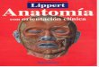 Anatomia con Orientación Clinica - H. Lippert - 4ta Ed - 2005 - (Marban)