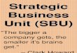 3. Strategic Business Units (SBU)
