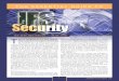 Essential Guide IFS Security PDF